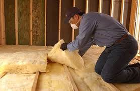 Best Garage Insulation  in Bellview, FL