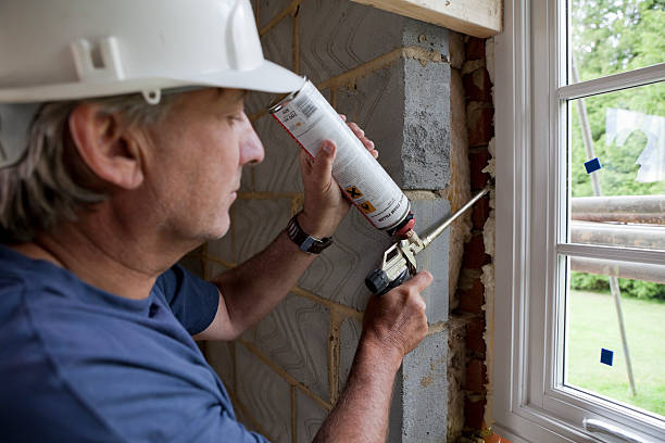 Best Insulation Air Sealing  in Bellview, FL